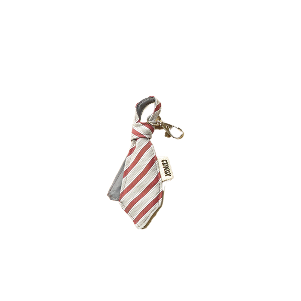 New Junior Tie Keychains image 3