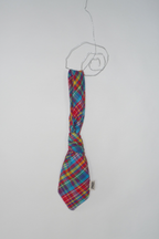 Big Boss Tie Clinger - Rainbow