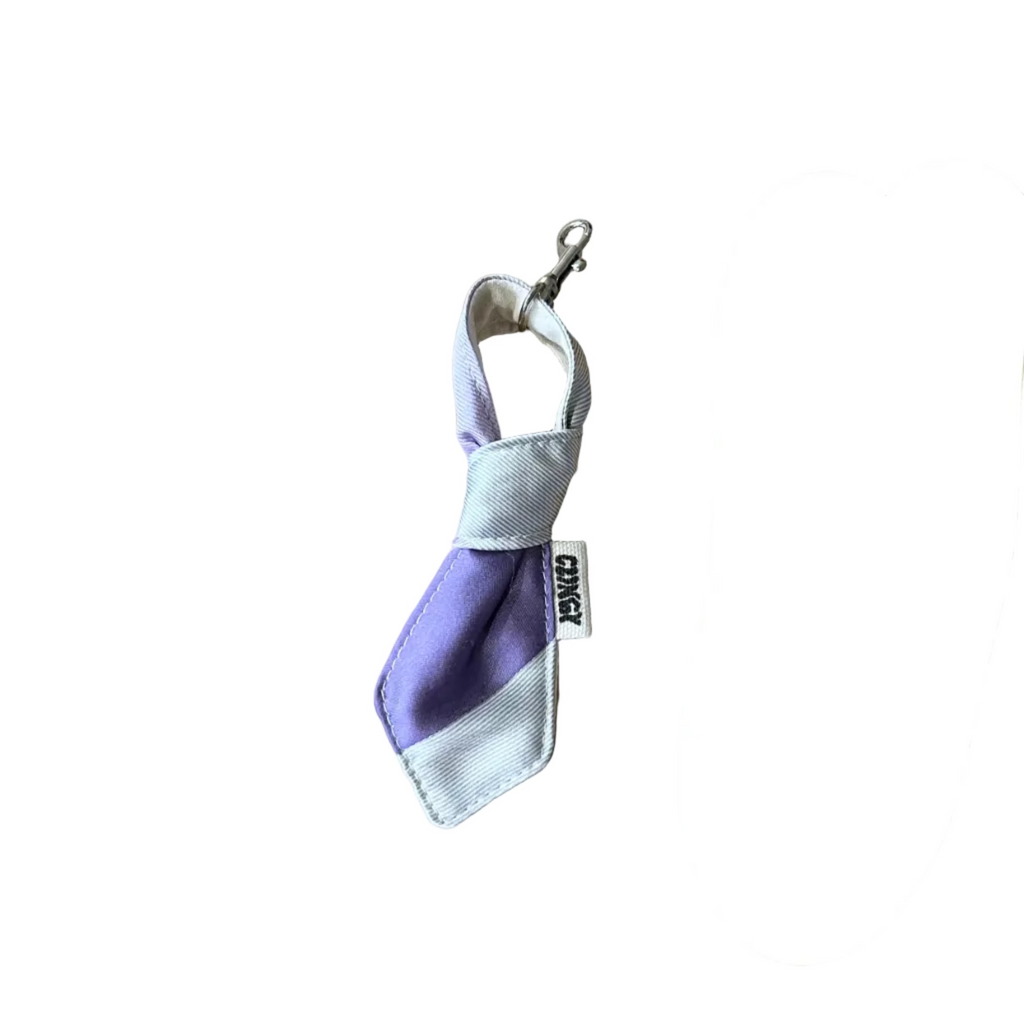 miniature tie keychain
